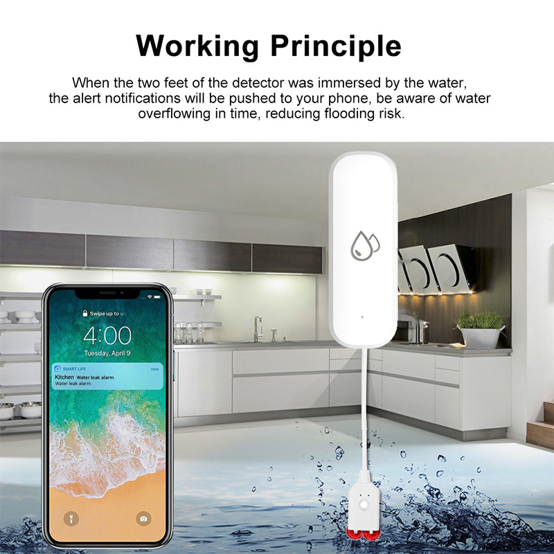 Tuya WiFi Water Leakage Alarm  - đánh giá và giá Home Security Monitoring