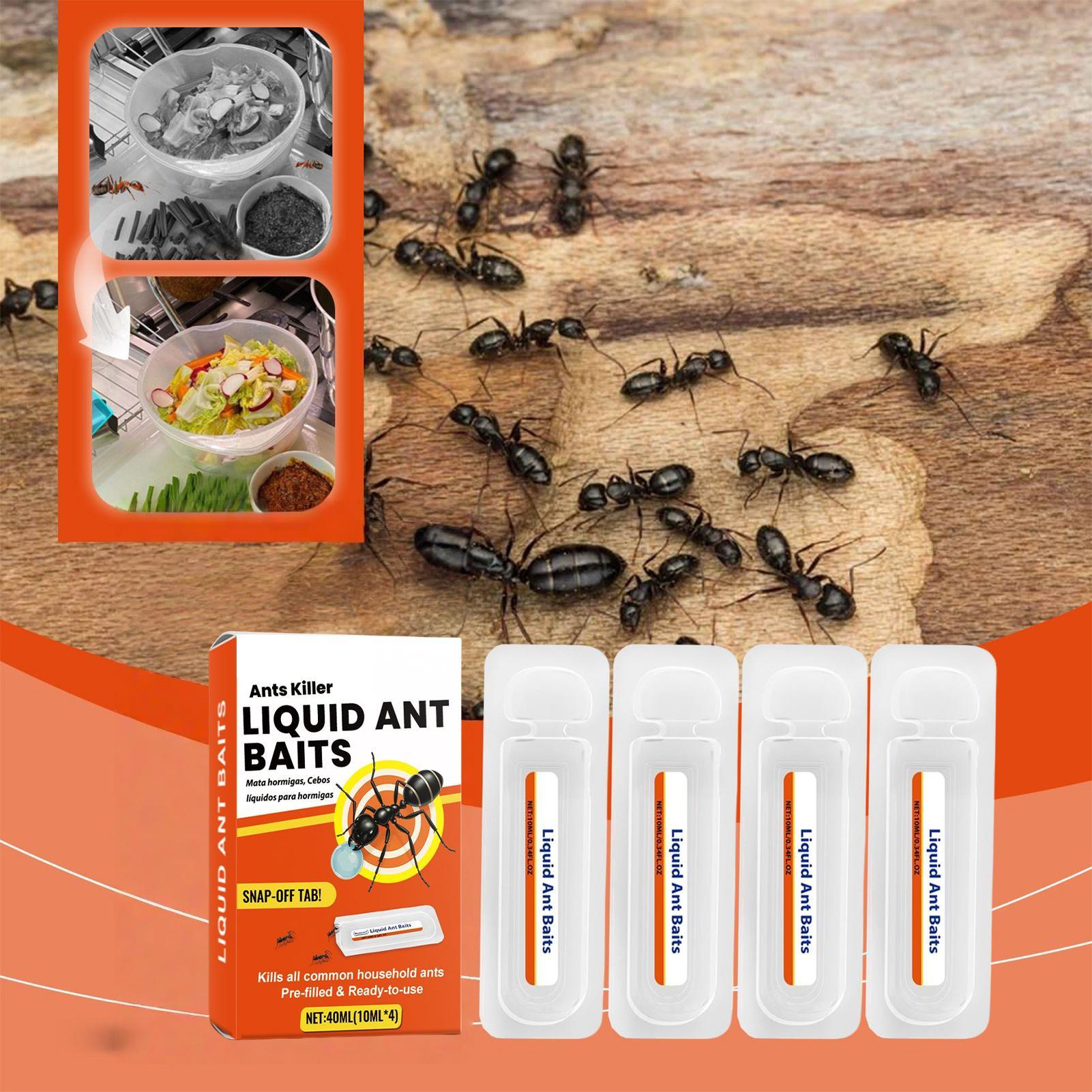 New Ant Bait Traps Indoor Ant  - đánh giá và giá Home Security Outdoor